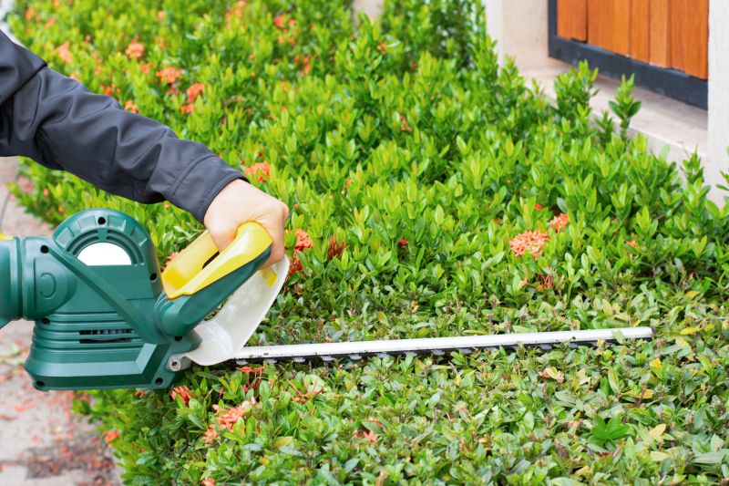 Shrub Trimming Service