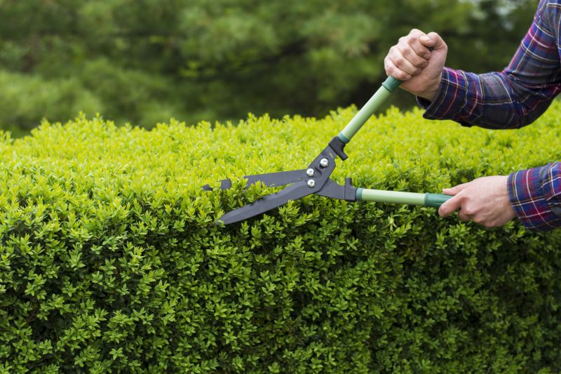 Hedge Cutting