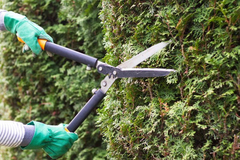 Hedge Cutting