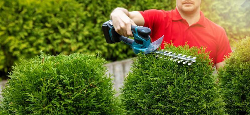 Hedge Cutting