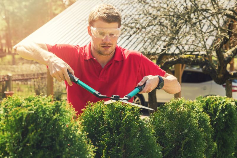 Bush Relocation in Rockwall, TX