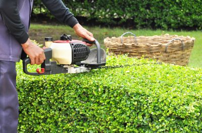 Hedge Cutting Cost Insights — Cost of Hedge Cutting