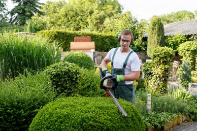 Hedge Cutting in Spring