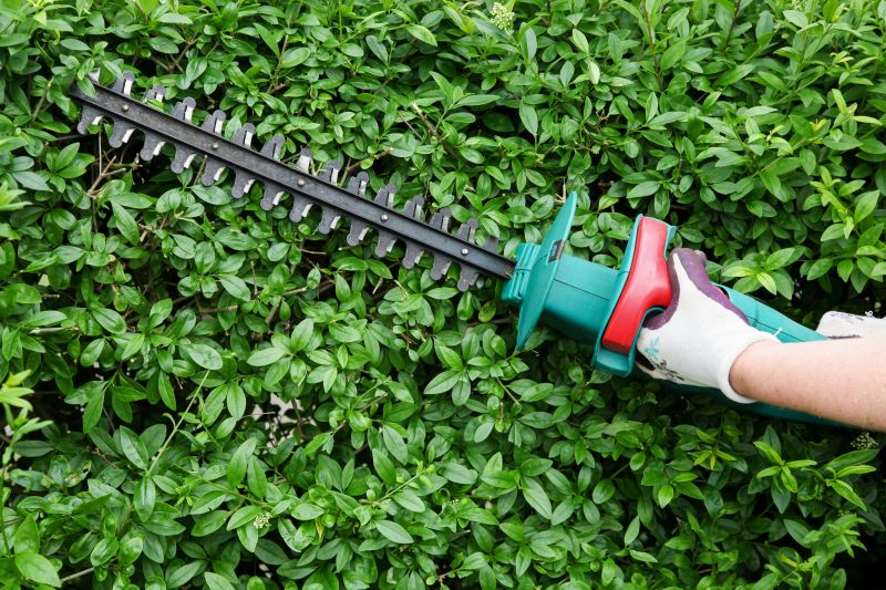 Hedge Cutting Equipment