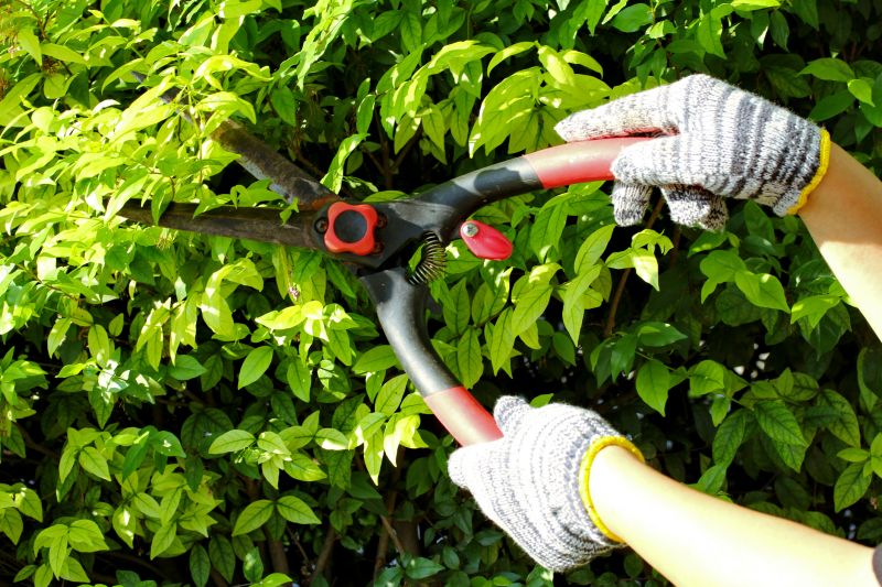 Pruning Tools in Action