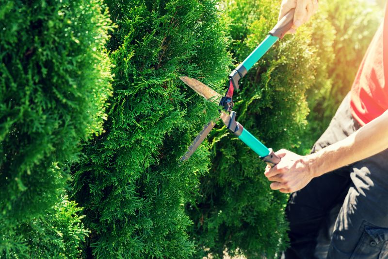 Hedge Trimming Tools