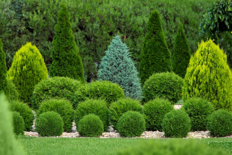 Lush Green Shrubs