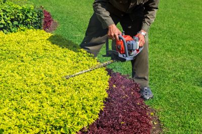 Trim Hedges Correctly